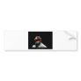 Sarcoramphus papa - King Vulture 02 Bumper Sticker