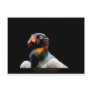 Sarcoramphus papa - King Vulture 02 Postcard