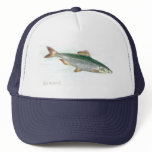 Sardine hats
