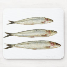 Sardines (Pilchards) 2 Mousepads