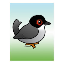 Sardinian Warbler Postcard