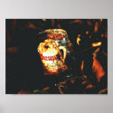 Sarsaparilla posters