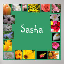 Sasha Print