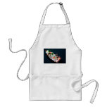 Sashimi Boat. Aprons