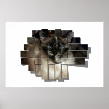 Sassy Cat Print