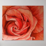Satin Magic Rose Print