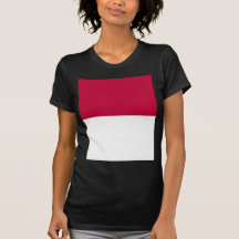 Satsuma, Japan flag Shirt