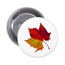 Saturated Sycamore Buttons