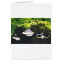 Saturn Mushrooms Greeting Card