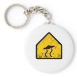 saucer xing
