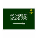 Saudi Arabia Flag Alt t-shirts