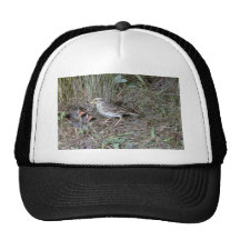 Savanna Sparrow with nest Mesh Hats