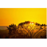 Savanna Sunset Photo Cut Outs
