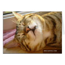Savannah Cat deep-sleep Card