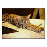 Savannah cat sleepy Card