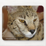 Savannah Phoenix Mousepad
