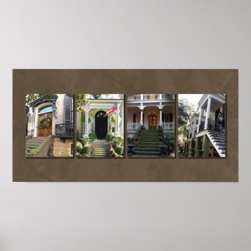 Savannah steps print