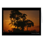Savannah Sunset Card