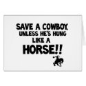 Save A Horse Ride A Cowboy cards