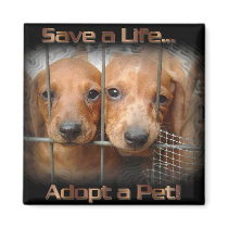 save a life adopt a pet square magnet