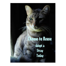 Save A Life! Adopt A Shelter Pet! Post Card