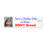 Save a Shelter Dog in Need -- Paxton bumper stickers