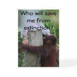 Save Animals from Extinction card