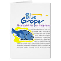 Save Blue Groper Cards