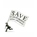 Save CA School Libraries Merchandise t-shirts