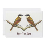 Save Date: Two Kiskadee Birds Facing Each Other Custom Announcements