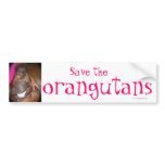 Save Endangered Species : orangutans Bumper Stickers