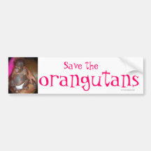 Save Endangered Species : orangutans Bumper Stickers