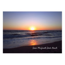Save McGrath State Beach Business Card