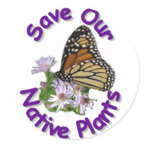 Save Native Asters Monarch Sticker
