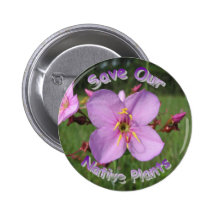 Save Native Plants - Rhexia Button