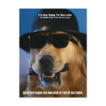 Save Off-Leash Dog Walking Senator Feinstein postcards