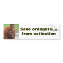 Save Orangutans bumper stickers