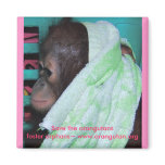 Save Orangutans! magnets
