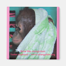 Save Orangutans! Magnet