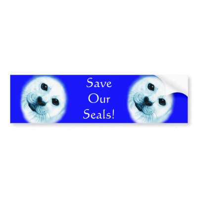  Baby on Save Our Seals  Baby Harp Seal Bumper Sticker By Midnightdreamer