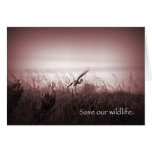 Save our wildlife cards