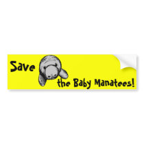Save the Baby Manatees! Bumper Stickers
