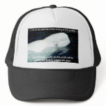 SAVE THE BELUGA WHALES HATS
