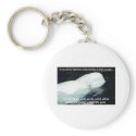 SAVE THE BELUGA WHALES keychains