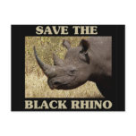 Save the Black Rhino Postcards