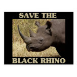 Save the Black Rhino Postcards