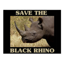Save the Black Rhino Postcards