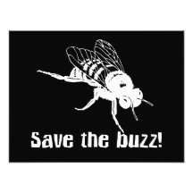 Save the Buzz Photographic Print