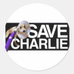 Save the Charles! Stickers
