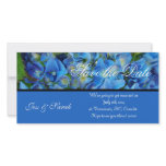 save the date, blue hydrangea flowers personalized photo card